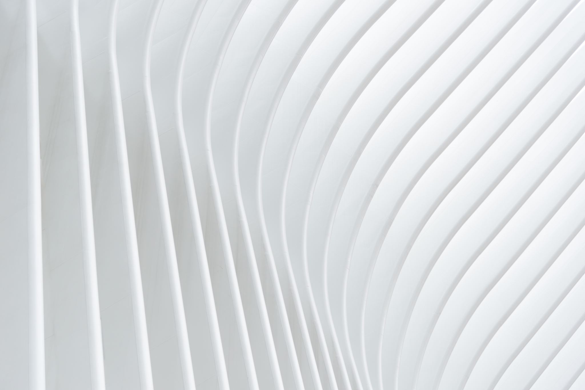 Magnifying glass on clear background